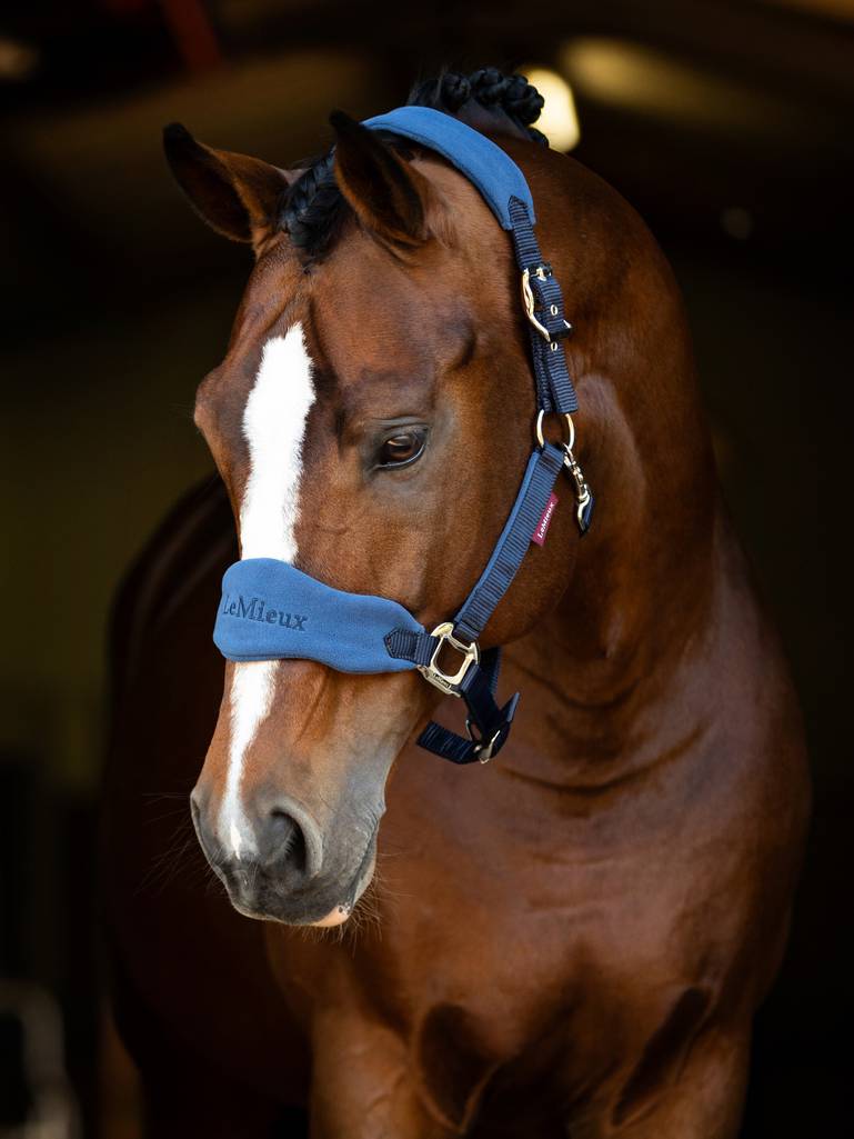 LeMieux Vogue Headcollar and Leadrope
