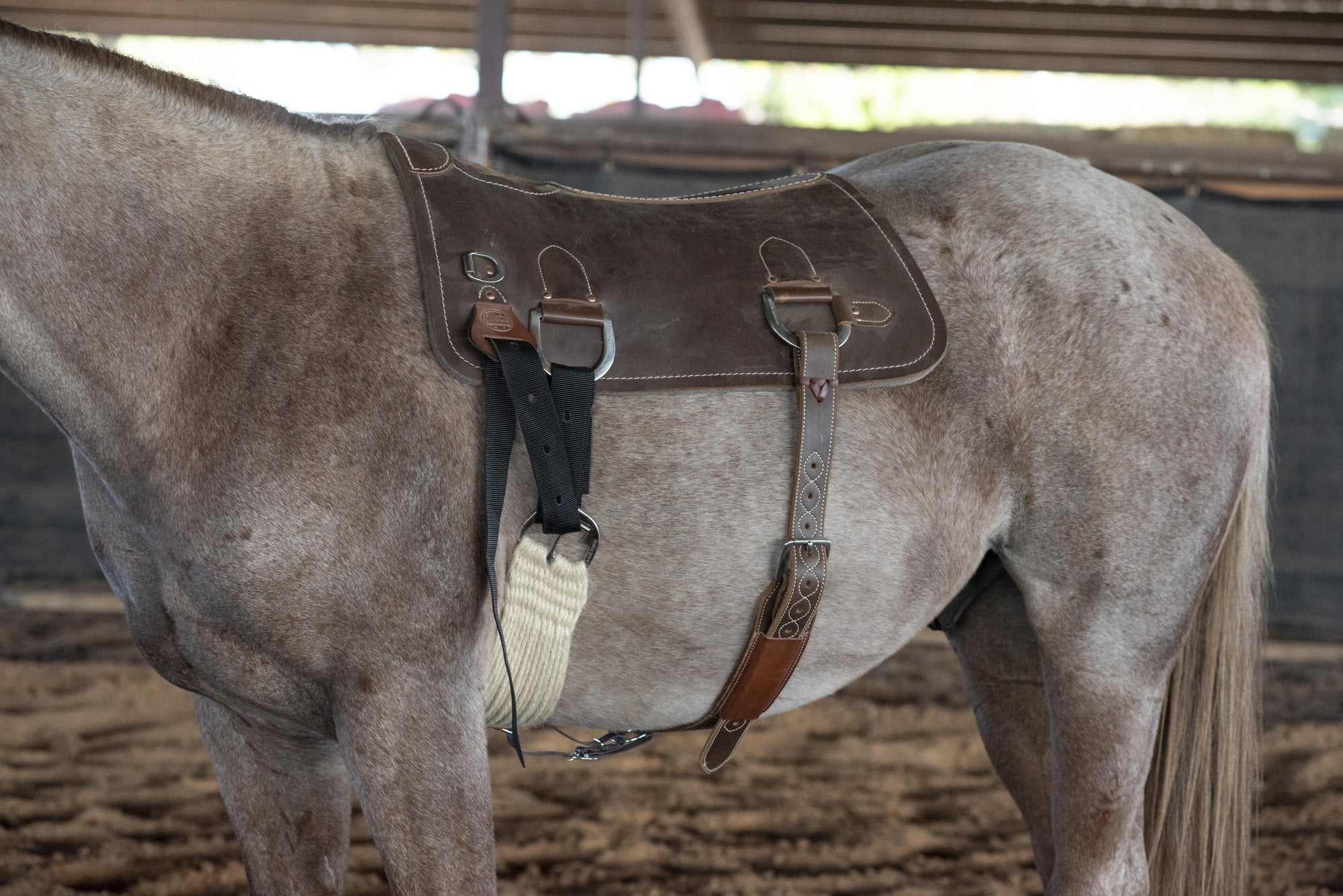 Martin Saddlery Training Pad | Saddles - Western | Saddleworld Ipswich