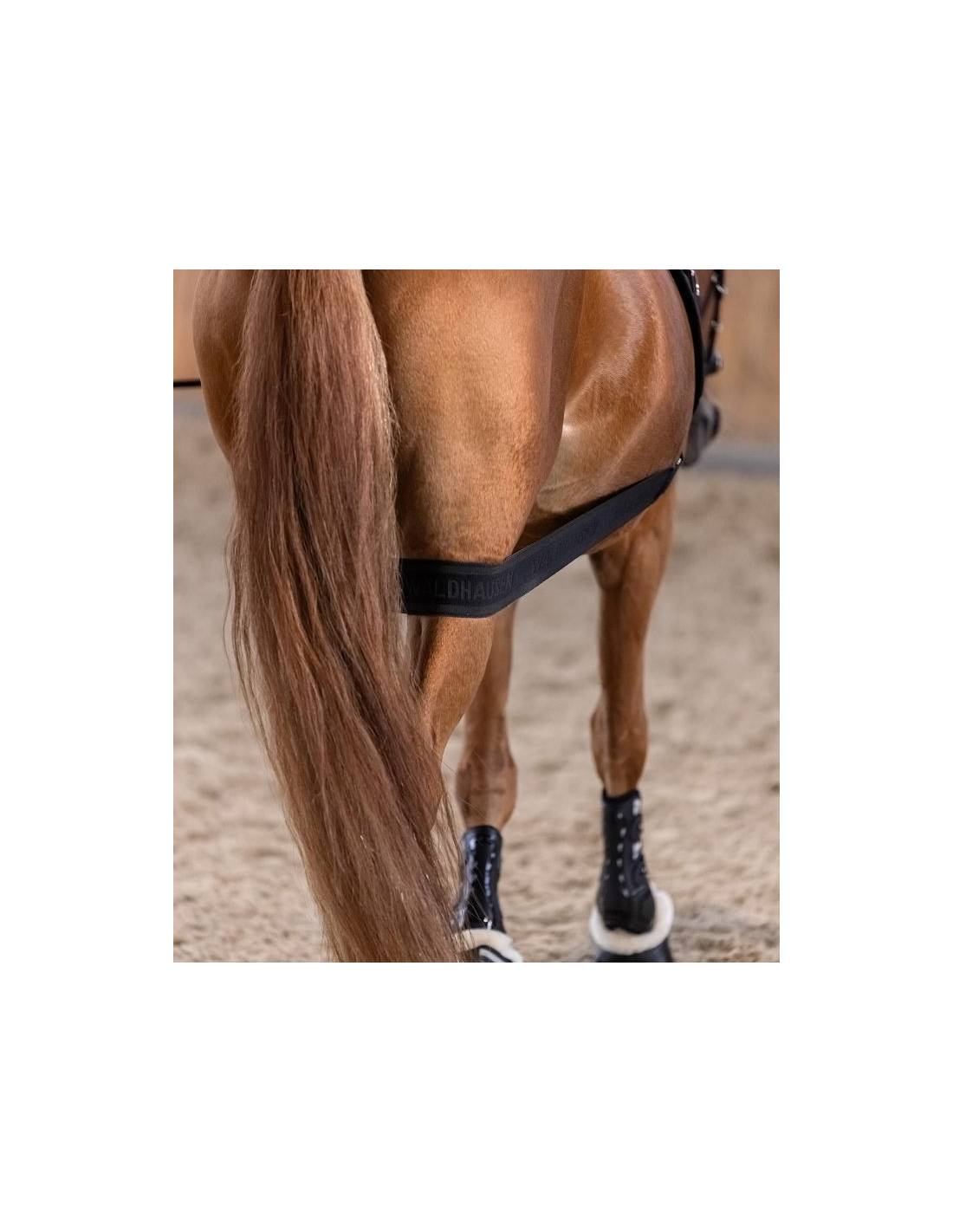 Waldhausen Core Training Band | Horse Supplies - Lunge | Saddleworld Ipswich
