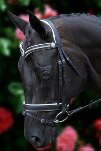 Flexible Fit White Padded 3 Row Crystal V with Shields Snaffle Bridle