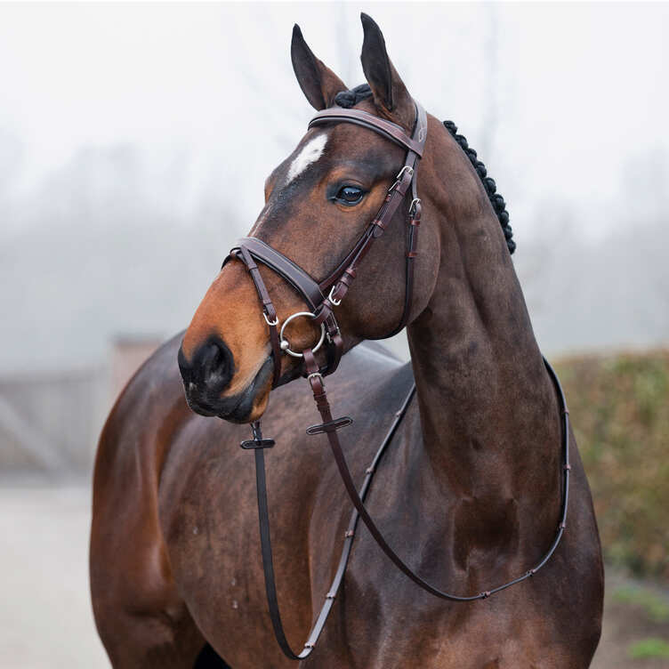 Horze Venice Bridle