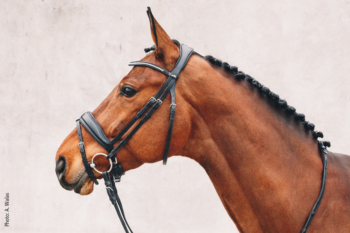 Schockemohle Sports Anatomic Bridle - Stanford