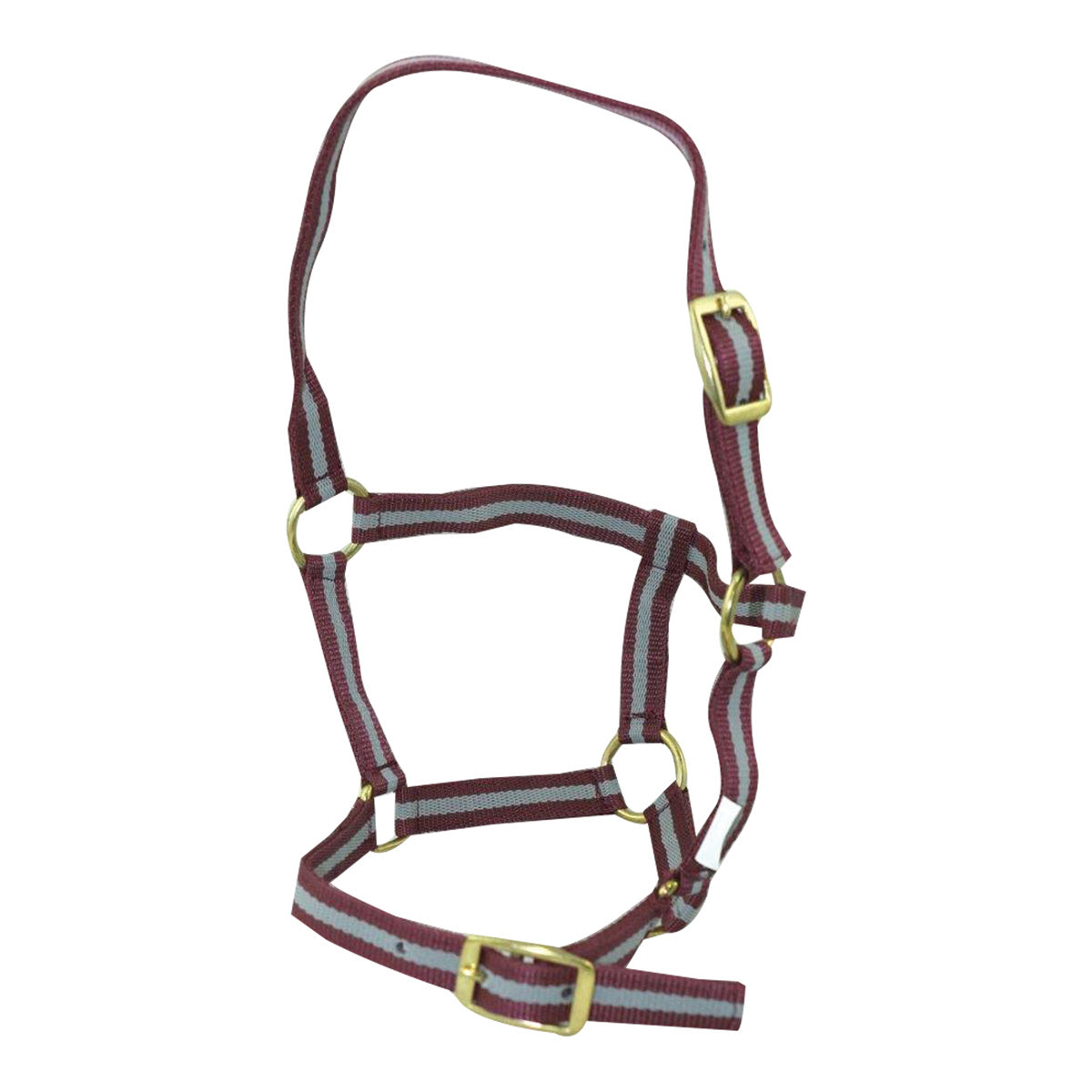 McAlister Foal Halter With Brass Fittings Two Toned Foal