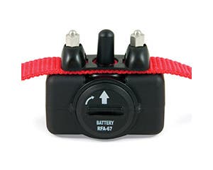 PetSafe Bark Control Collar Saddleworld Ipswich