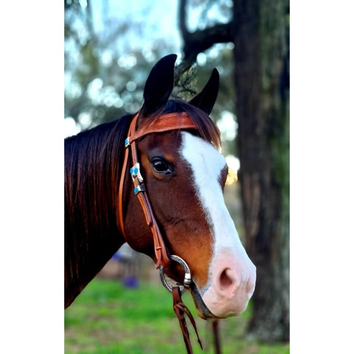 Toprail Bridle with Embossed Barbed Wire Browband