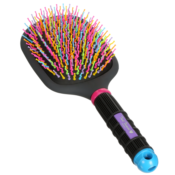 Rainbow Paddle Brush