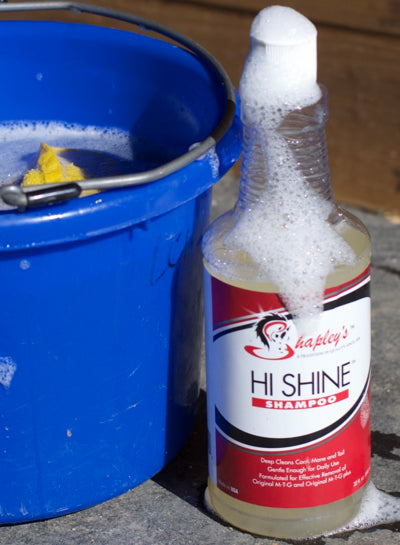 Shapleys Hi Shine Shampoo - Black Friday Sale