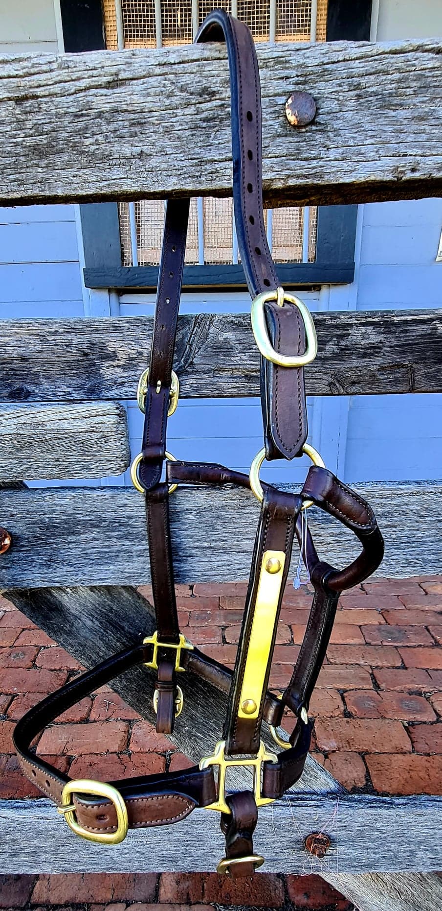 Toprail Thoroughbred Yearling Show Halter with Brass Plate