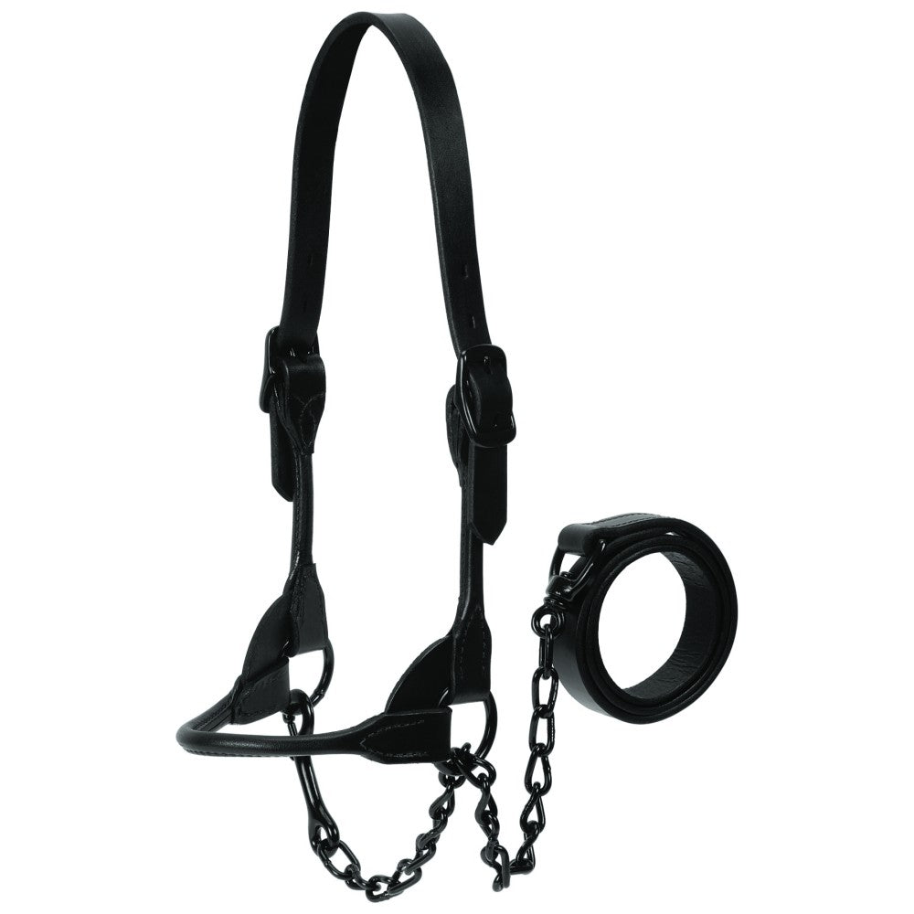 Cattle Leather Show Halter