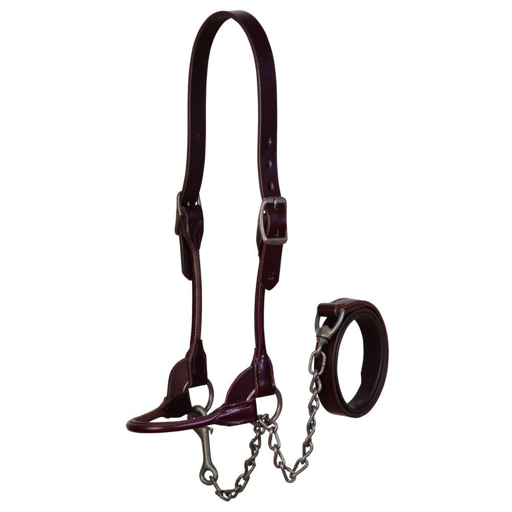 Cattle Leather Show Halter