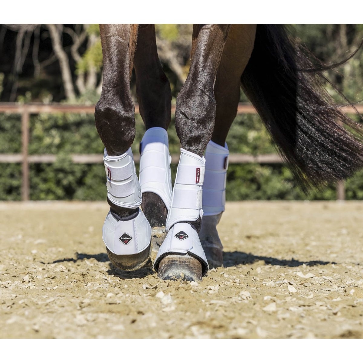 LeMieux Proshell Brushing Boots