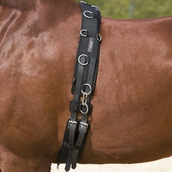 Kieffer Lunging Surcingle
