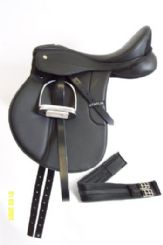 Status Gp Deluxe Kit