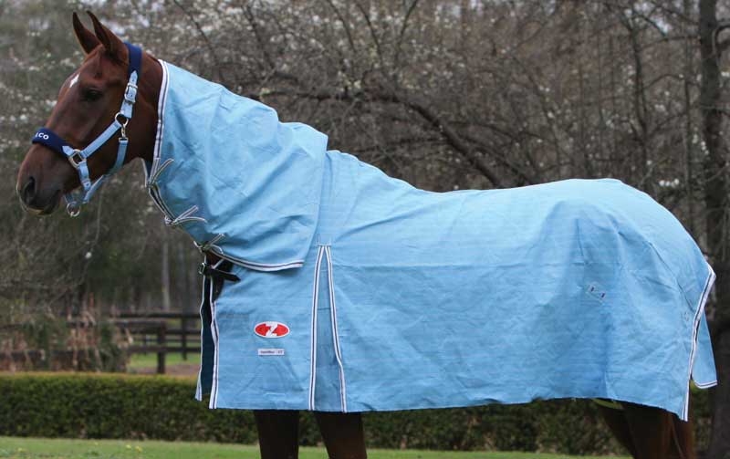 Zilco Hamilton Proof Canvas Combo