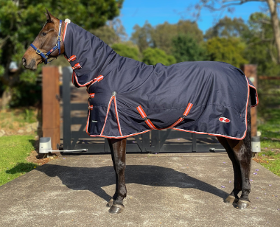 Zilco Pioneer 200 Combo