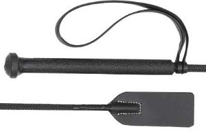 Aintree Pony Club Whip