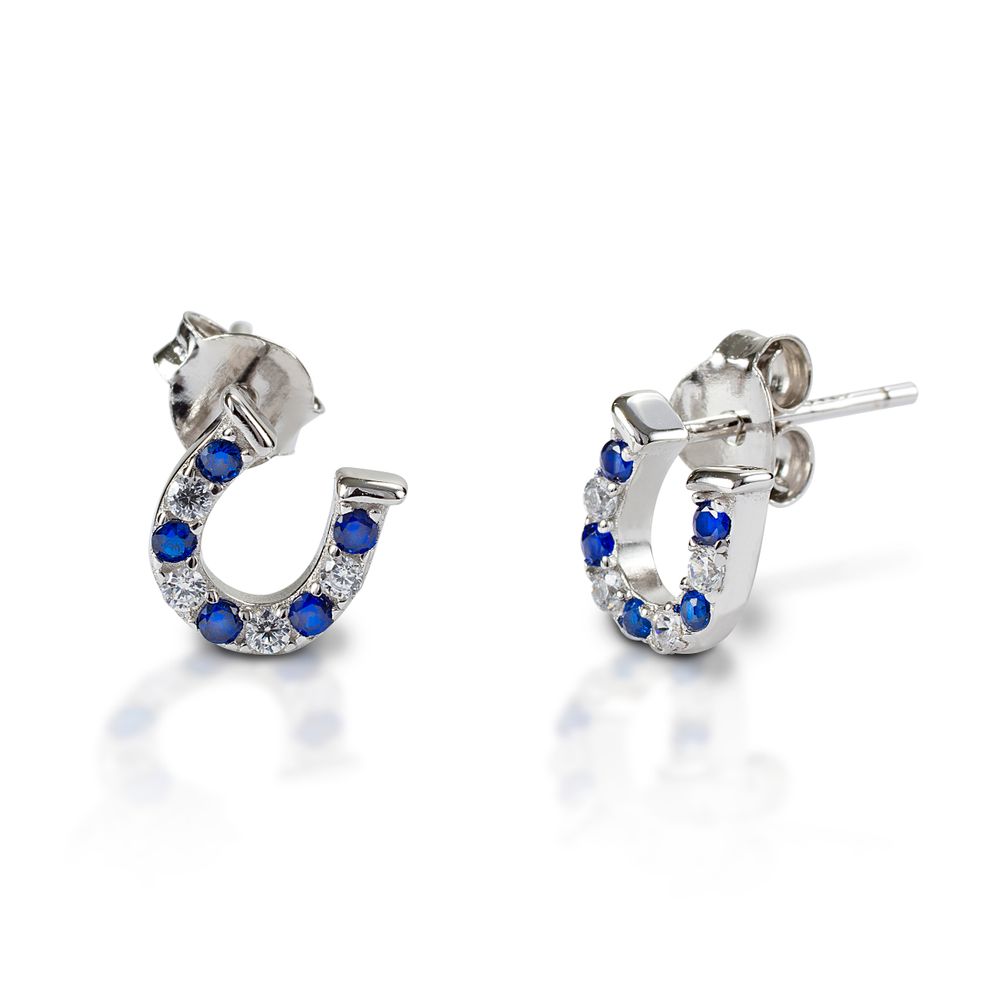 Kelly Herd Blue And Clear Horseshoe Earrings