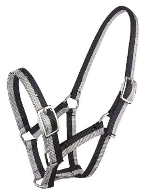 Sparkle Foal Halter
