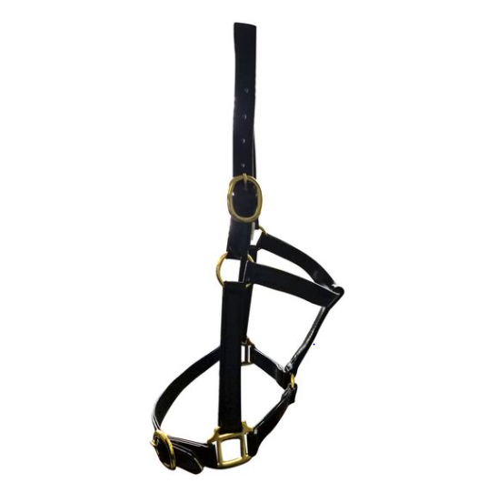 Pvc Brass Halter