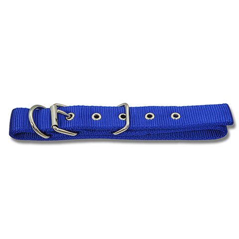 Dog Collar Web 55Cm