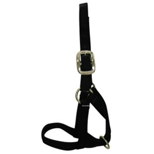 Nylon Calf Halter