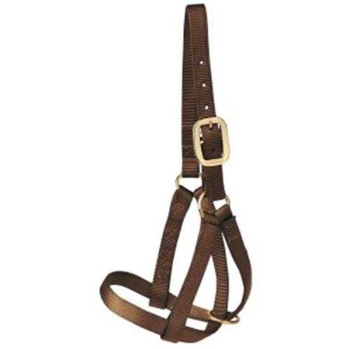 Nylon Calf Halter