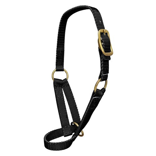 Nylon Cow Halter