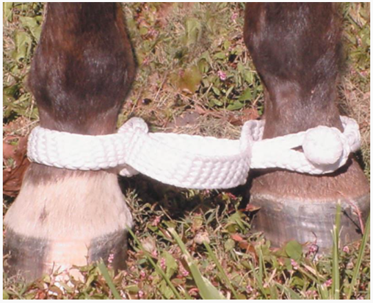 Ezy Ride Braided Hobble White