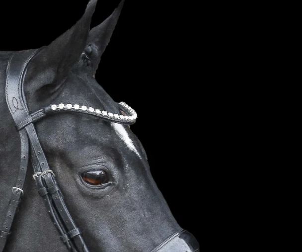 Lumiere Diamante Crystal Browband