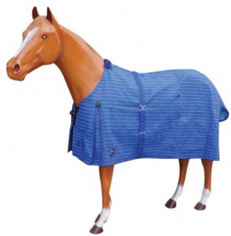 Unlined Blue Canvas Rug