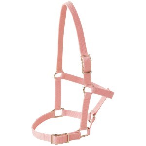 Rancher Foal Halter With Buckles