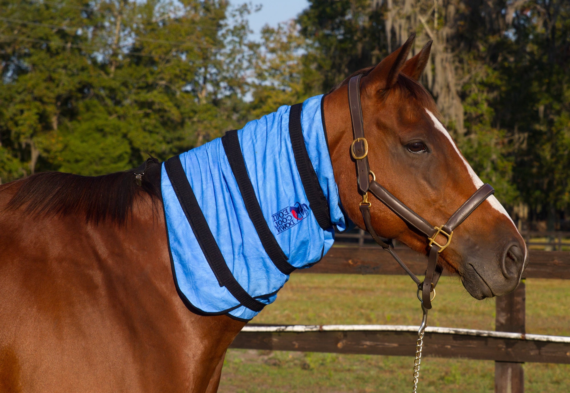Equi Cool Down Equine Neck Wrap