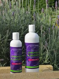 Donnybrook Citronella/Lavender Lotion