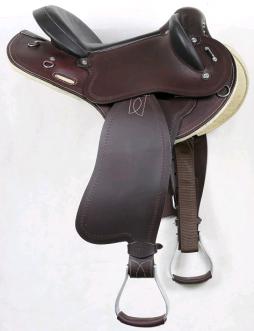 Northern River Drafter Half Breed