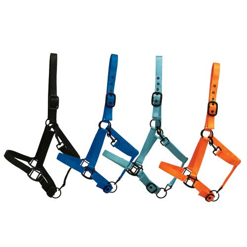 Rancher Halter With Black Detail