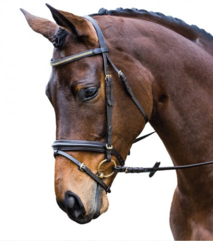 Eurohunter Chain Hannoverian Snaffle