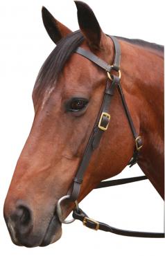 Eureka Brass Barcoo 3/4 In