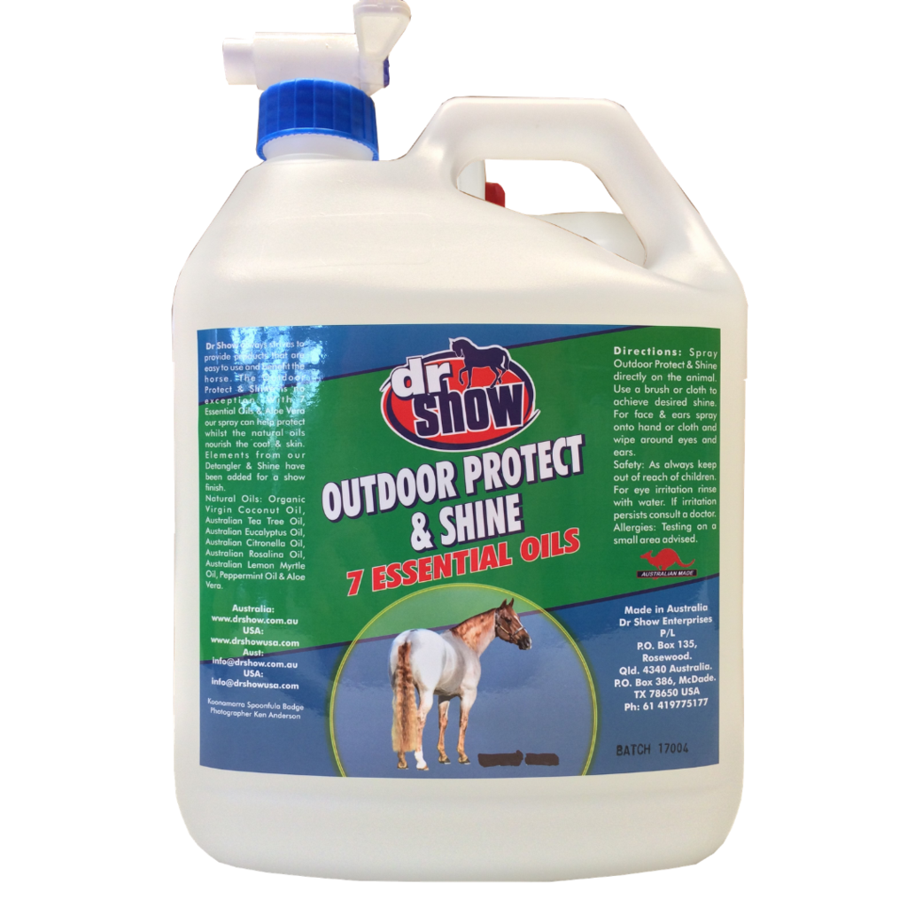Dr Show Protect And Shine 4Ltr