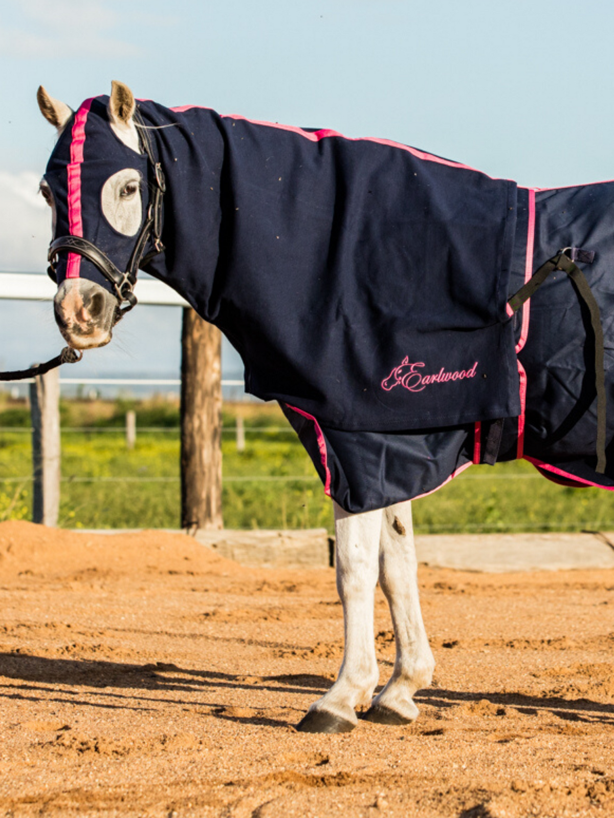 Earlwood - Zipped Up Hood