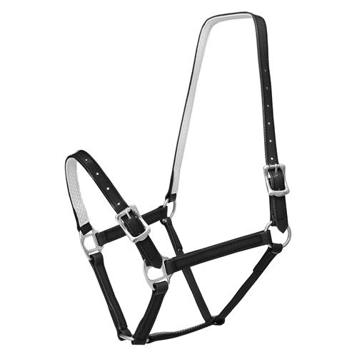 Horse Sense 19mm Buckle Halter - Black Friday Sales