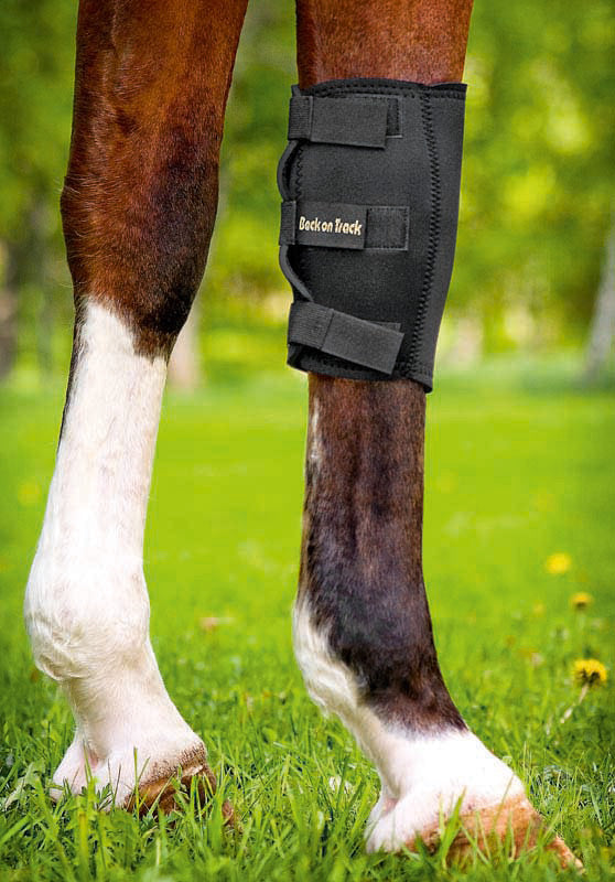 Back On Track Knee Boot