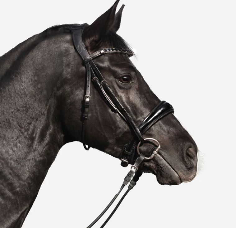 Lumiere Equestrian Audrey Black Italian Leather Bridle Cavesson Nappa Leather Reins
