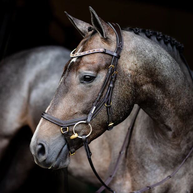 Lumiere Amber Anatomic (Euro Version) Bridle Rubber Reins