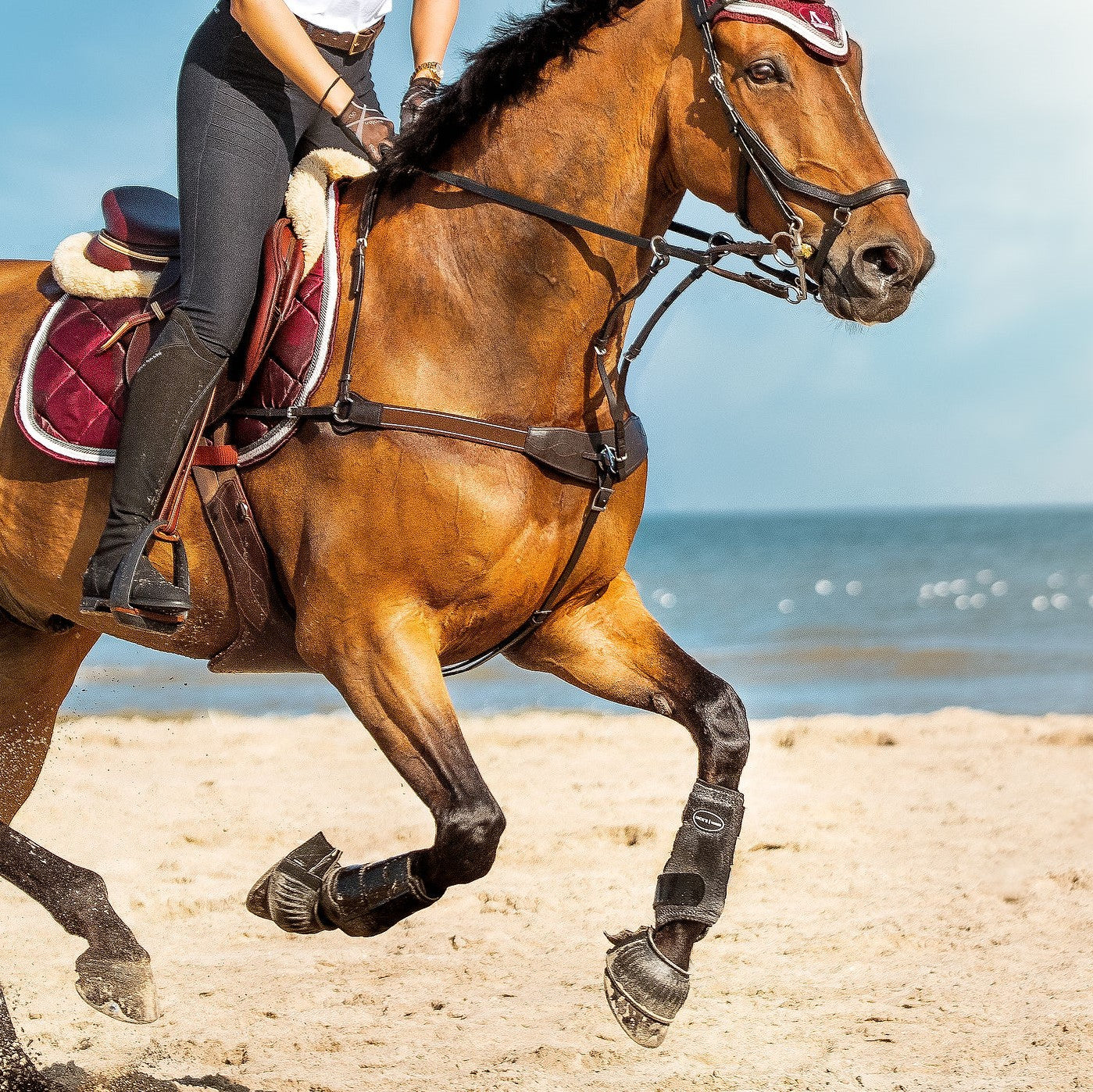 Lumiere Equestrian Vida Italian Leather Bridge Breastplate