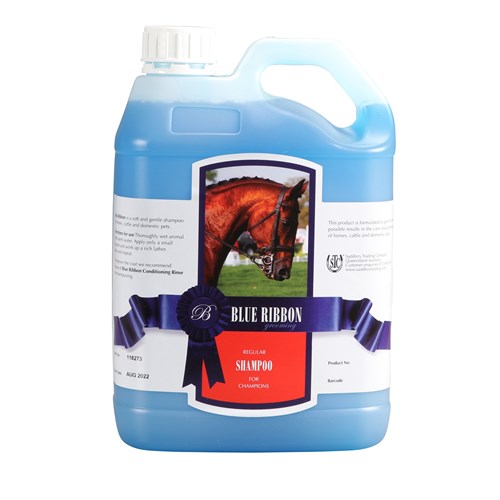 Blue Ribbon Regular Grooming Shampoo - Main Image