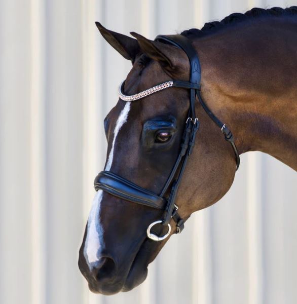 Lumiere Equestrian Madeline Bridle