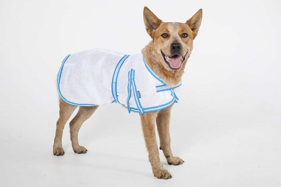 Wild Dogz Insect Control Dogz Mesh Coat