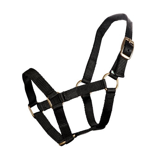 Mini Horse Pp Halter