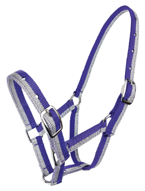 Sparkle Foal Halter
