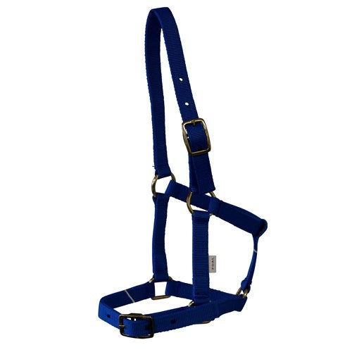 Rancher Foal Halter With Buckles